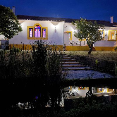by night