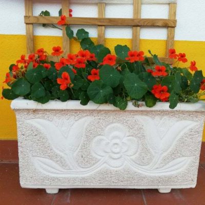 fleurs