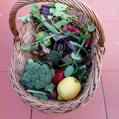 potager