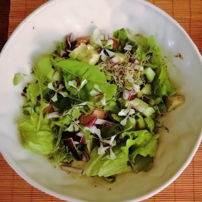 salade printaniere